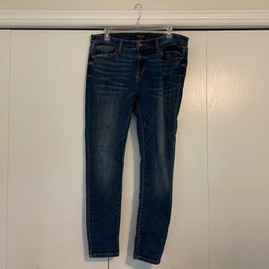 Judy Blue Peter Skinny Jean